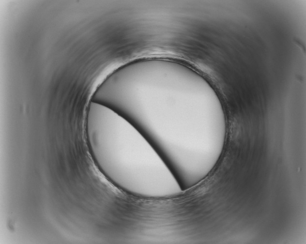 X0000100491374200806130746