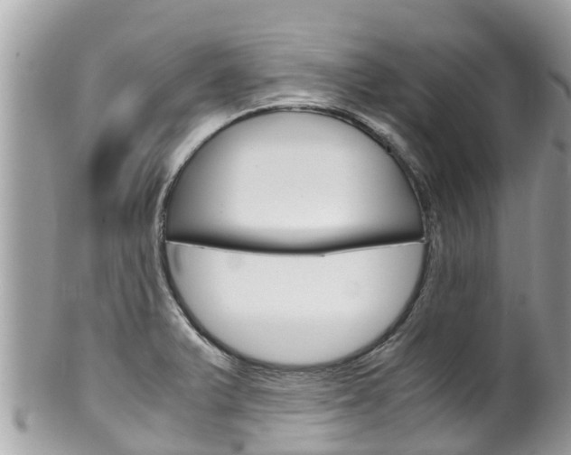 X0000100491375200806130746