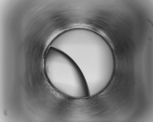 X0000100491376200806130746