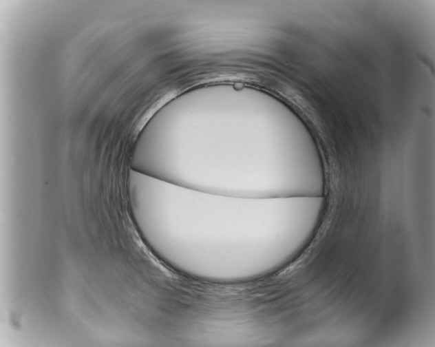 X0000100491377200806130746