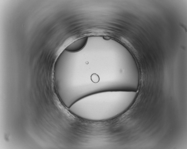 X0000100491378200806130746