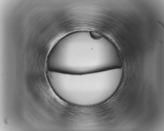 X0000100491379200806130746