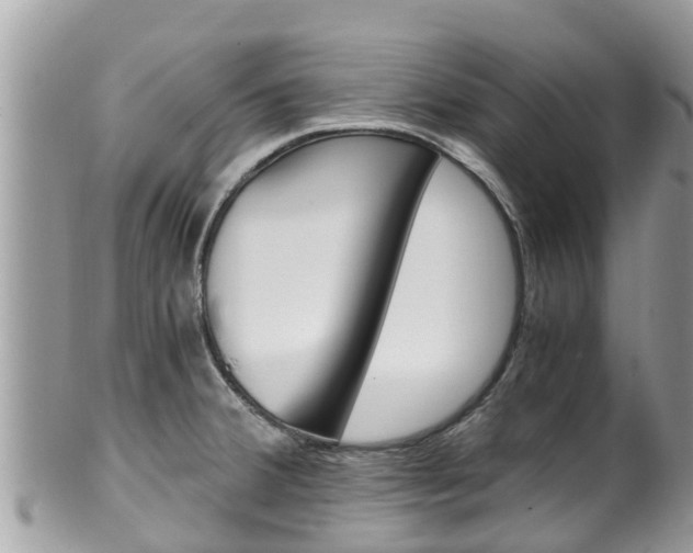 X0000100491380200806130746