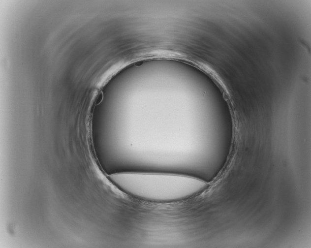 X0000100491381200806130746