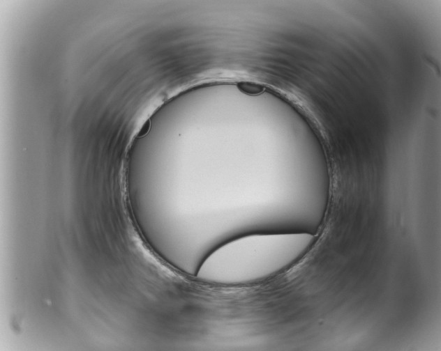 X0000100491382200806130746