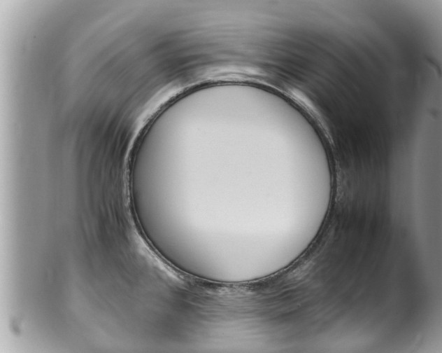 X0000100491384200806130745