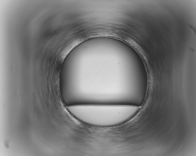 X0000100491385200806130745