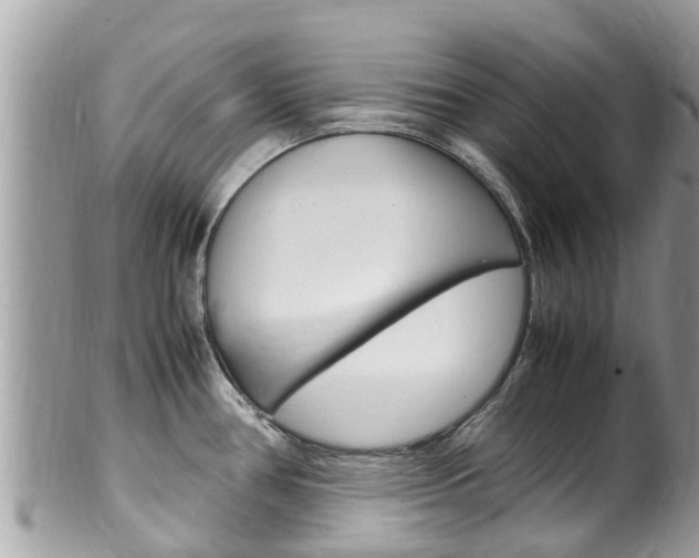 X0000100491386200806130745
