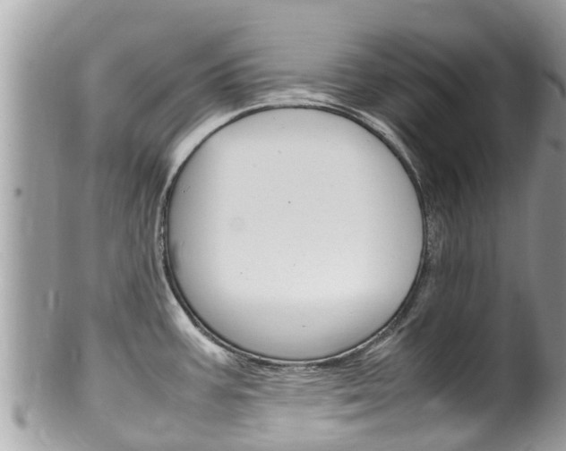 X0000100491387200806130745