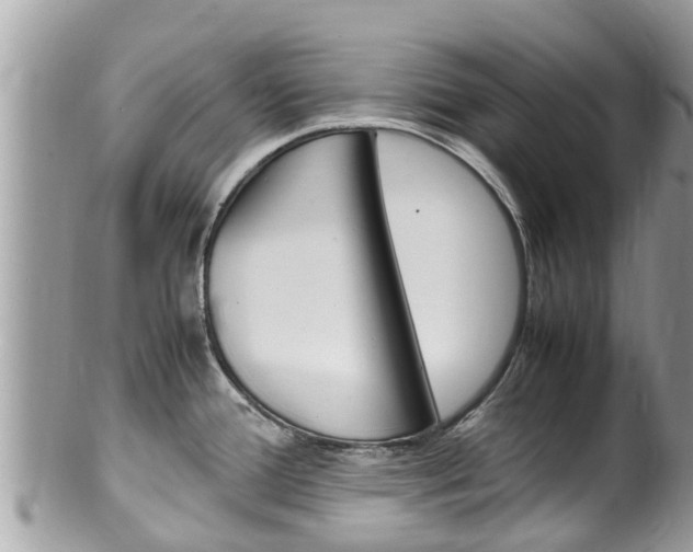X0000100491388200806130745