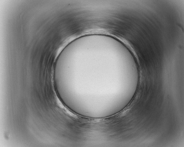X0000100491390200806130745