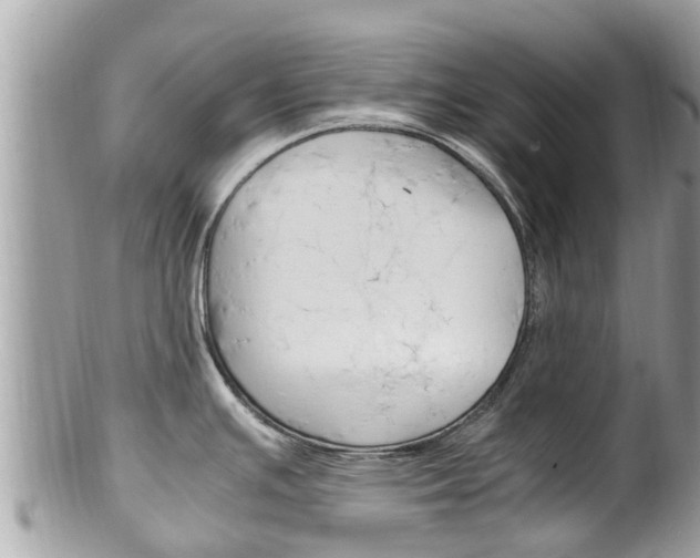 X0000100491391200806130745