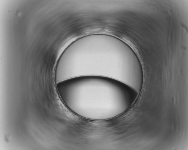 X0000100491392200806130745