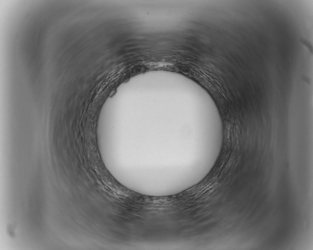 X0000100491393200806130745