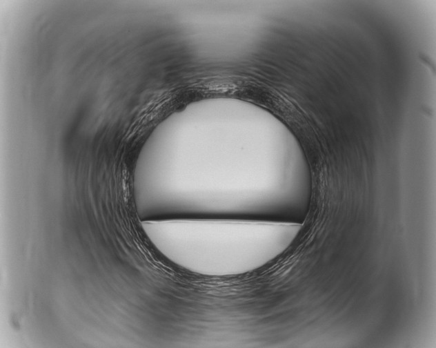 X0000100491394200806130745
