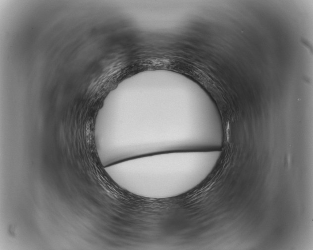 X0000100491395200806130745