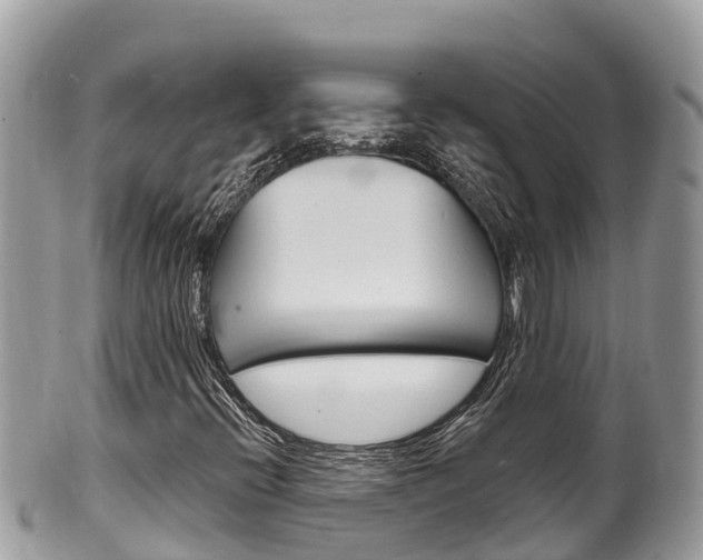 X0000100491396200806130745