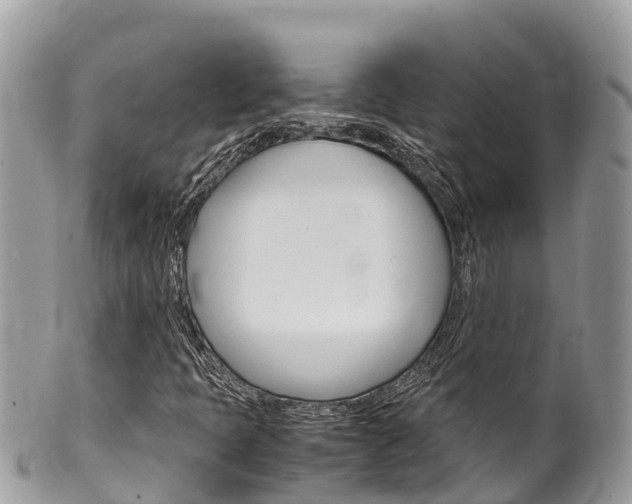 X0000100491397200806130745