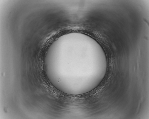 X0000100491398200806130745