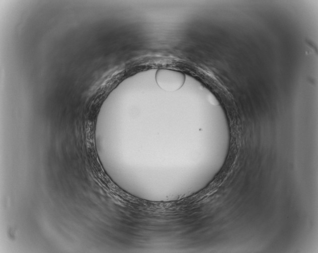 X0000100491399200806130745
