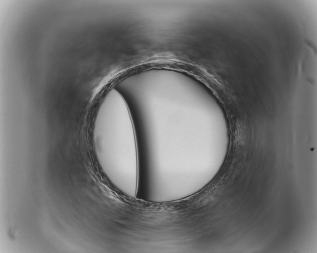 X0000100491400200806130745