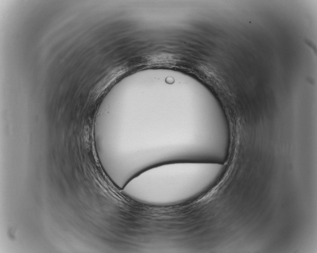 X0000100491401200806130745