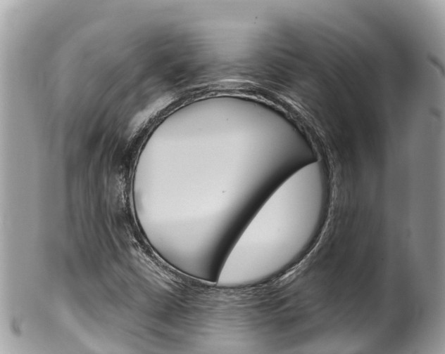 X0000100491402200806130745