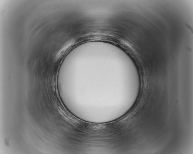 X0000100491403200806130745