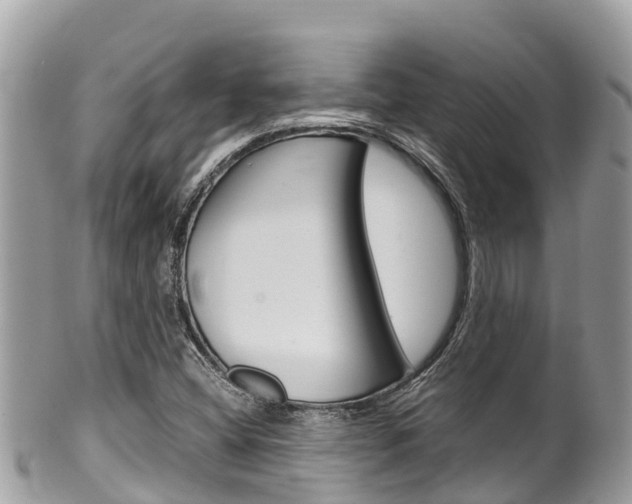 X0000100491404200806130745