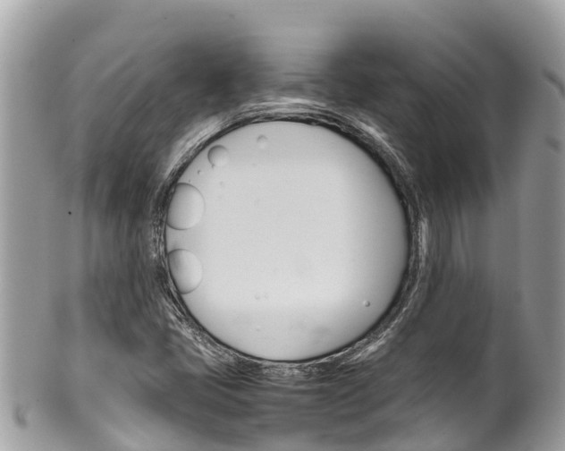 X0000100491405200806130745