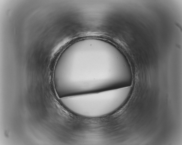 X0000100491406200806130745