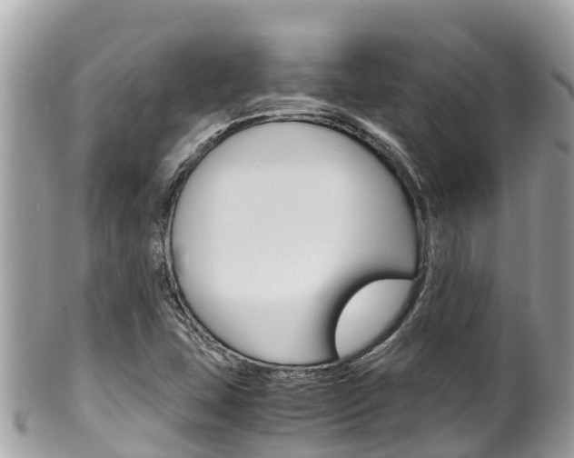 X0000100491407200806130745