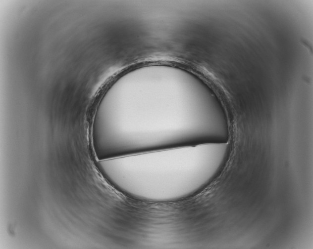 X0000100491408200806130745