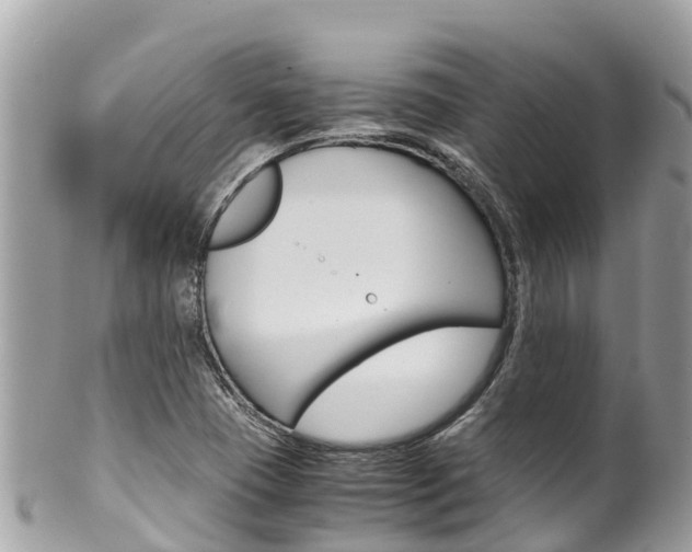 X0000100491409200806130745