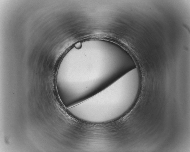 X0000100491410200806130745