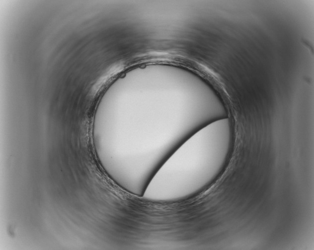 X0000100491411200806130745