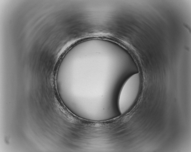 X0000100491412200806130745