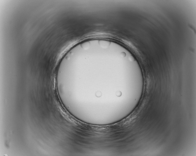 X0000100491413200806130745