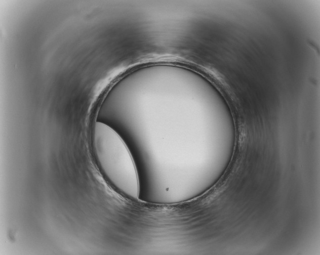 X0000100491414200806130745