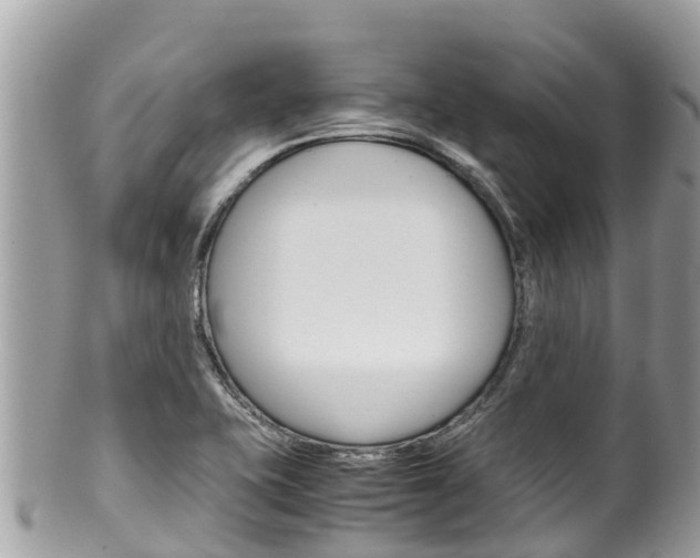 X0000100491415200806130745