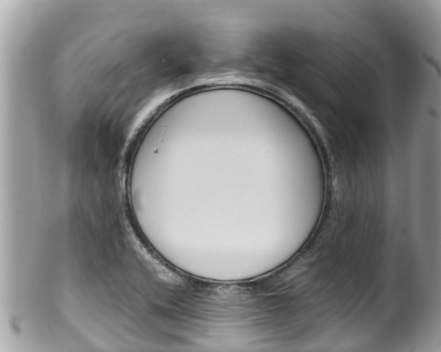 X0000100491416200806130745