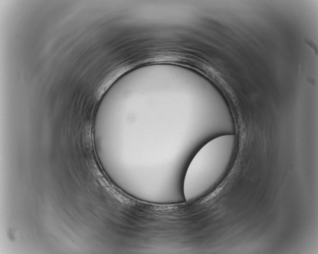 X0000100491417200806130745