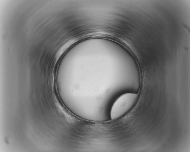 X0000100491418200806130745