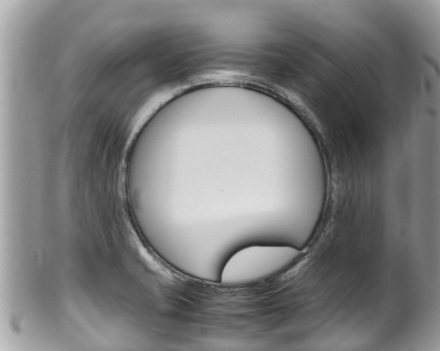 X0000100491421200806130745