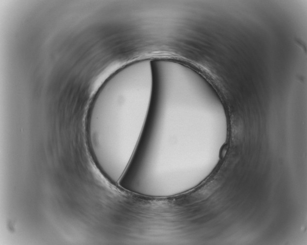 X0000100491422200806130745