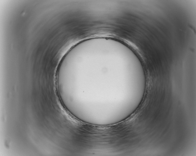 X0000100491423200806130745