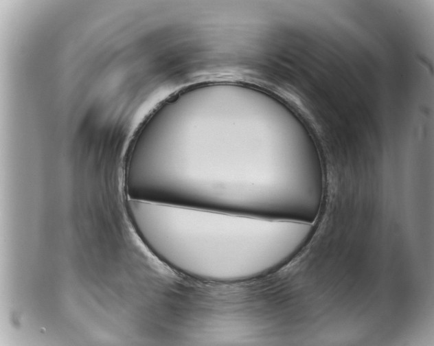 X0000100491424200806130745