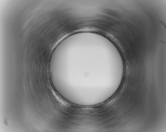 X0000100491425200806130745