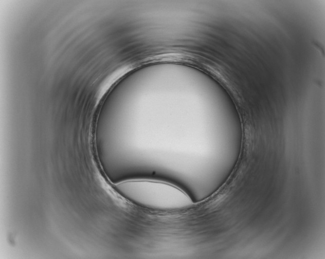 X0000100491426200806130745