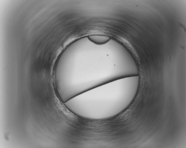 X0000100491427200806130745